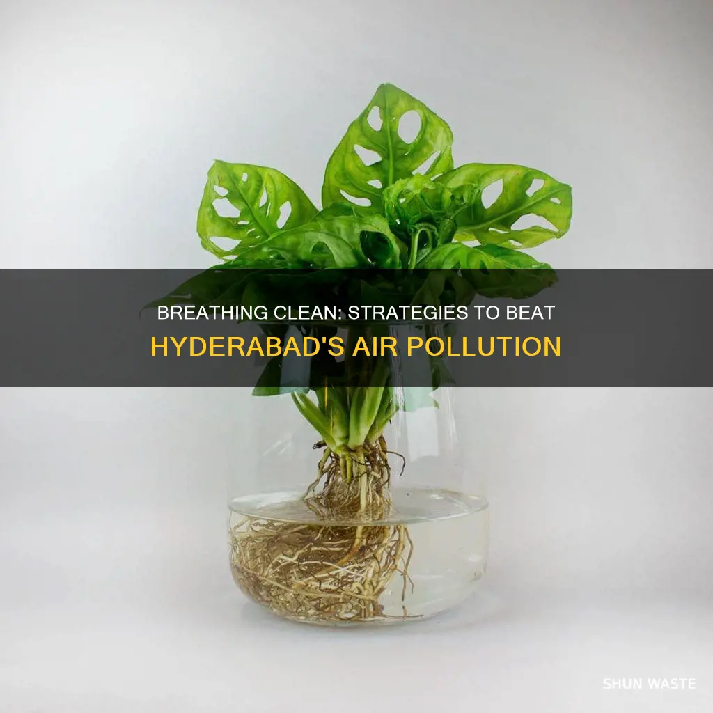 how can we protect ourselves from air pollution in hyderabad