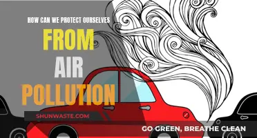 Protecting Ourselves: Strategies Against Air Pollution