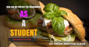 Eco-Friendly Steps: Students' Guide to Protecting Our Environment