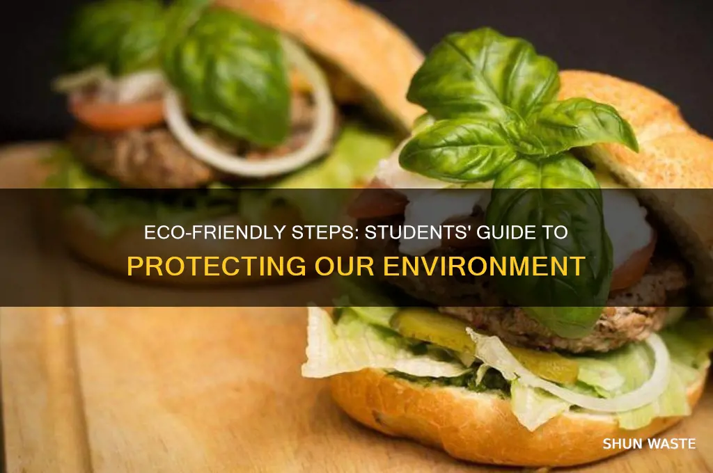 how can we protect the environment as a student