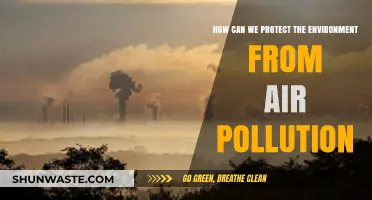 Combating Air Pollution: Practical Steps to Safeguard Our Environment