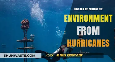Strengthening Coastal Defenses: Strategies to Mitigate Hurricane Environmental Impact