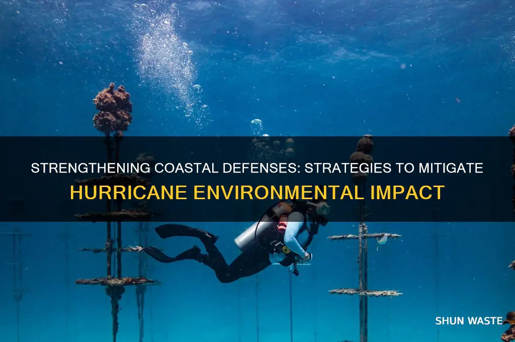 how can we protect the environment from hurricanes