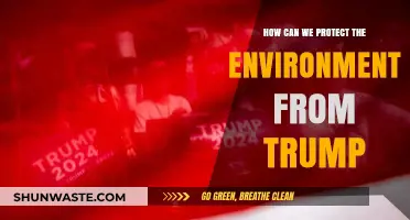 Resisting Trump's Policies: Strategies to Safeguard Our Environment and Future