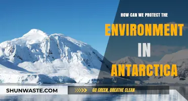 Preserving Antarctica's Pristine Environment: Sustainable Practices and Conservation Strategies