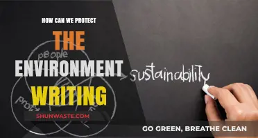 Sustainable Writing Practices: Protecting the Environment Through Conscious Content Creation