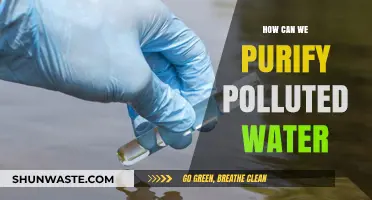 Innovative Solutions: Purifying Polluted Water for a Healthier Future