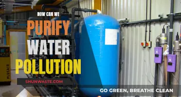 Innovative Solutions: Purifying Water, Protecting Our Future