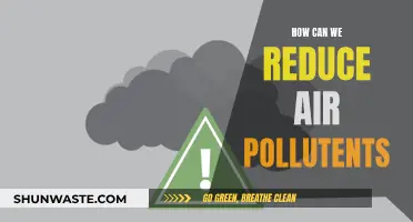 Strategies to Reduce Air Pollutants and Improve Air Quality