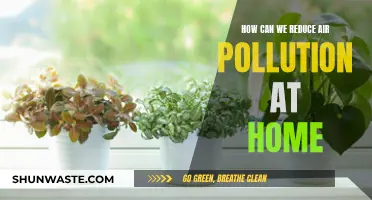 Reducing Air Pollution: Simple Home Strategies for Cleaner Air