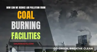 Reducing Air Pollution from Coal-Burning Facilities: Strategies and Innovations