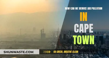 Cape Town's Air: Strategies for Cleaner Breathing