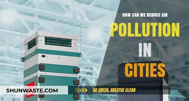 Breathing Clean: Strategies to Combat Urban Air Pollution