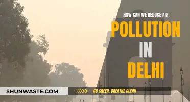 Delhi's Air Pollution: Strategies for Improvement