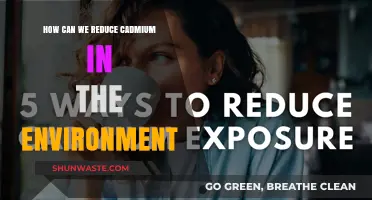 Effective Strategies to Minimize Cadmium Pollution and Protect Ecosystems