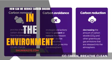 Effective Strategies to Reduce Carbon Dioxide and Combat Climate Change