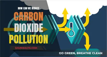 Reducing Carbon Dioxide Pollution: Strategies for a Greener Future