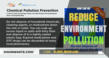 Sustainable Solutions: Practical Steps to Reduce Environmental Pollution Effectively