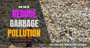 Reducing Garbage Pollution: Strategies for a Cleaner Environment