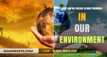 Sustainable Solutions: Practical Steps to Combat Global Warming Effectively