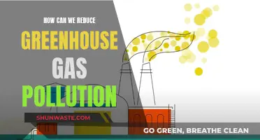 Mitigating Climate Change: Reducing Greenhouse Gas Pollution