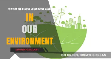 Effective Strategies to Cut Greenhouse Gases and Save Our Planet