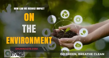 Sustainable Living: Simple Steps to Reduce Your Environmental Impact