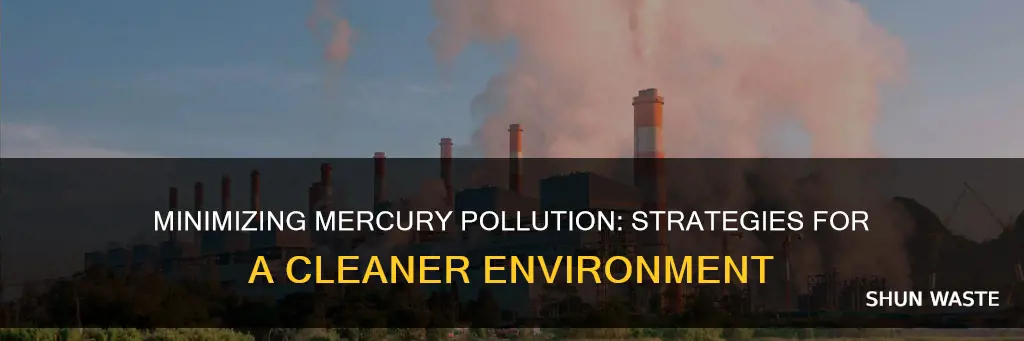 how can we reduce mercury pollution