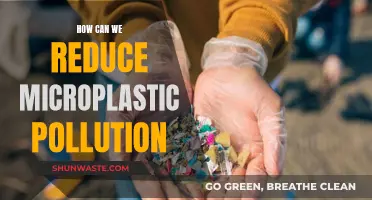 Reducing Microplastic Pollution: Strategies for a Sustainable Future