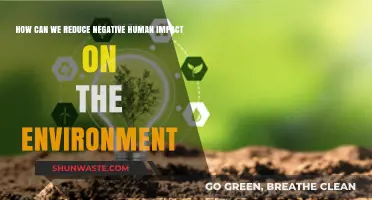 Sustainable Steps: Reducing Human Impact for a Greener Future