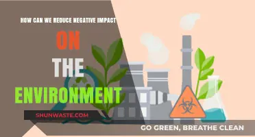 Sustainable Steps: Reducing Our Environmental Footprint for a Greener Future