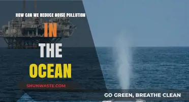 Ocean's Silence: Strategies to Decrease Underwater Noise Pollution