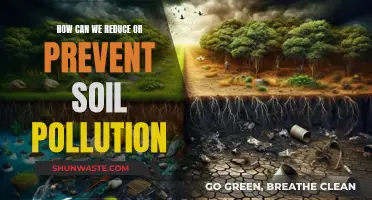 Soil Pollution: Preventing the Degradation of Our Earth's Skin