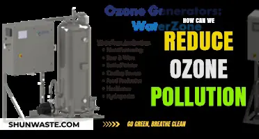 Breathing Clean: Strategies to Combat Ozone Pollution