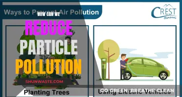 Strategies to Reduce Particle Pollution and Improve Air Quality