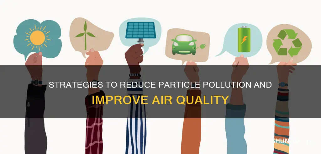 how can we reduce particle pollution