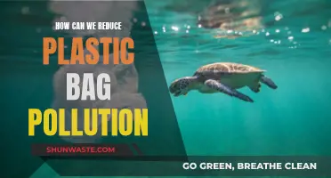 Reducing Plastic Bag Pollution: Strategies for a Greener Tomorrow