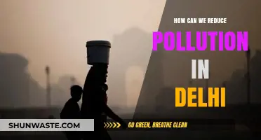 Green Delhi: Strategies to Beat Air Pollution