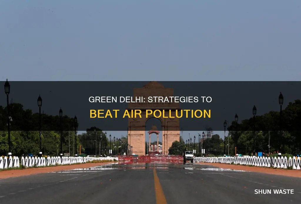 how can we reduce pollution in delhi