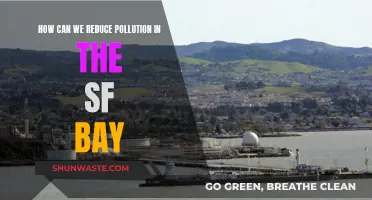 Reducing SF Bay Pollution: Strategies for a Greener Future