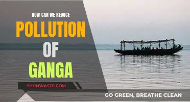 Cleaning the Ganga: Strategies to Reduce Pollution