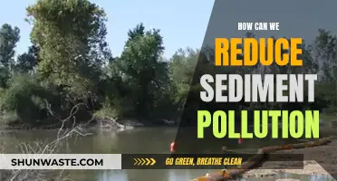 Sediment Pollution: Reducing Its Impact on Our Environment