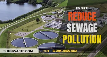 Reducing Sewage Pollution: Strategies for a Cleaner Environment