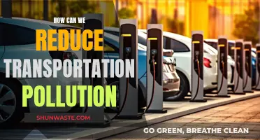 Transportation Pollution: Strategies for a Greener Future