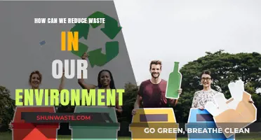 Sustainable Solutions: Practical Ways to Reduce Environmental Waste Effectively