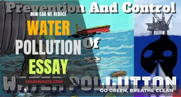 Water Pollution: Reducing Our Impact