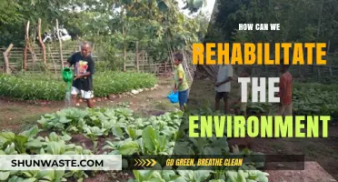 Reviving Our Planet: Sustainable Strategies for Environmental Rehabilitation