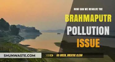 Brahmaputra's Future: Unraveling Pollution Solutions for a Healthy River