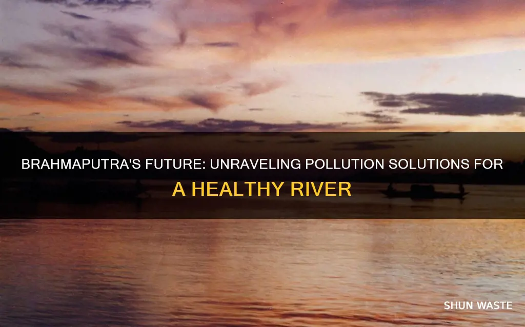 how can we resolve the brahmaputra pollution issue