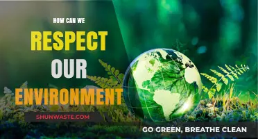 Sustainable Living: Simple Steps to Honor and Protect Our Environment